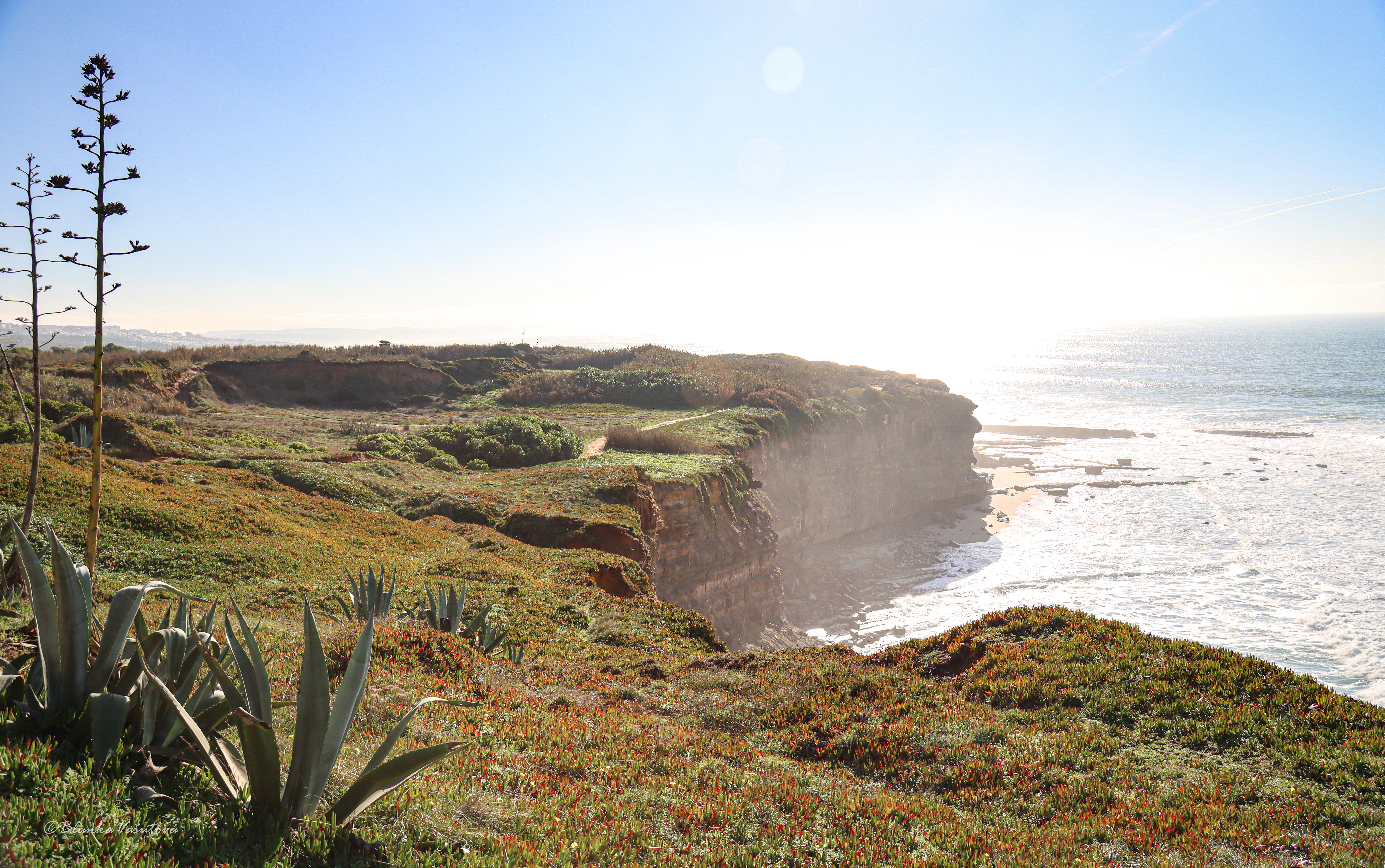 Coastal walks near Santa Cruz